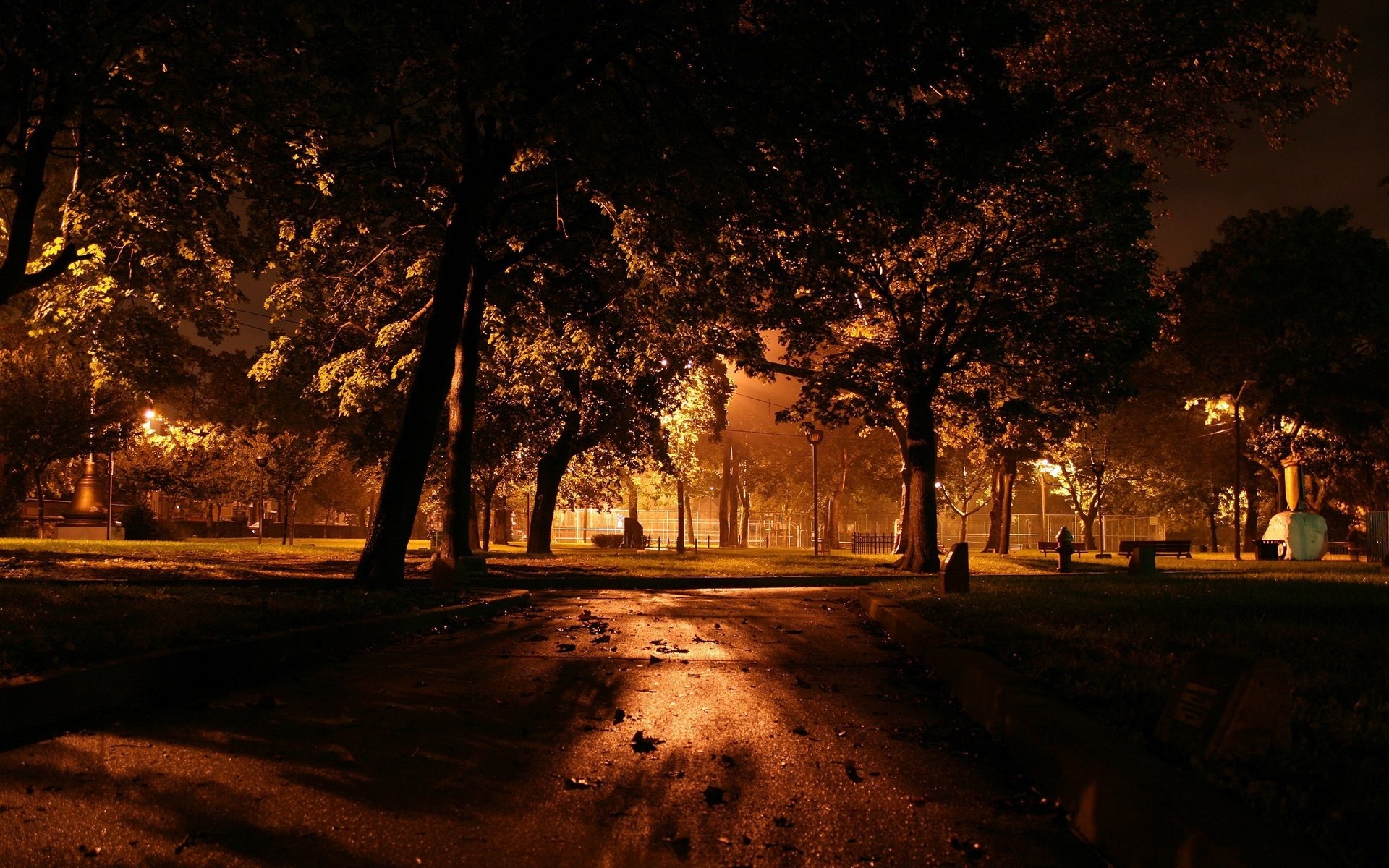 nuit arbres lanternes