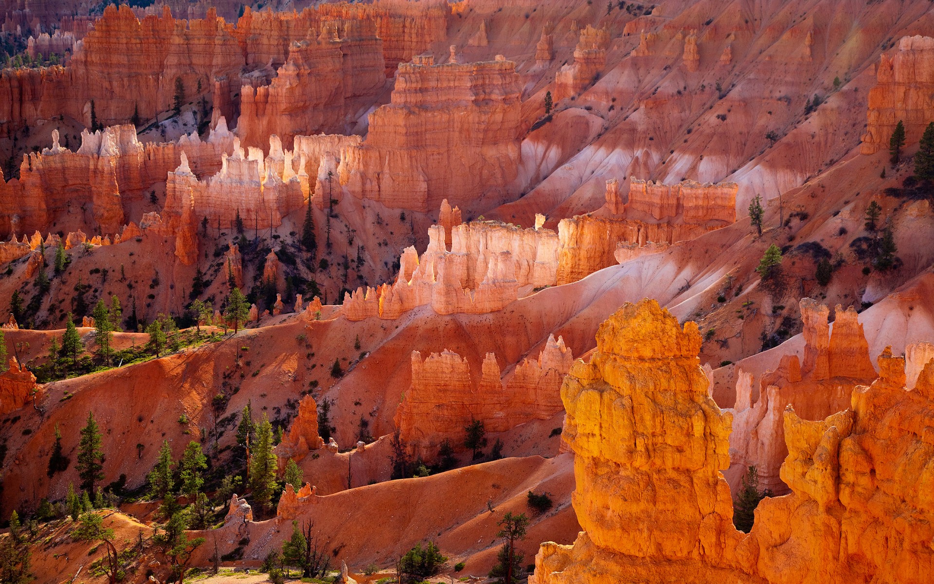 bryce canyon pustynia pomarańczowy skały