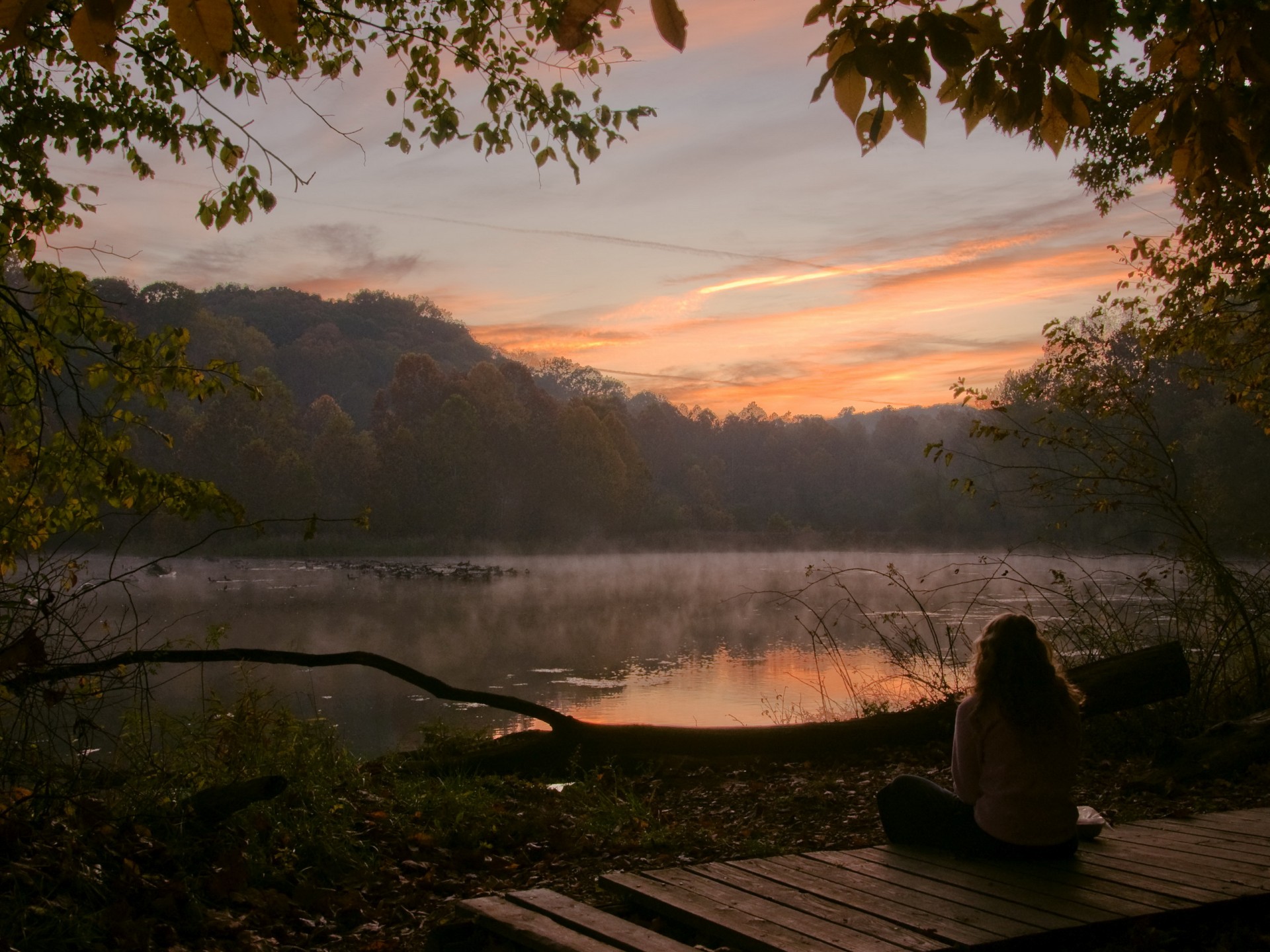 lac forêt arbres matin fille