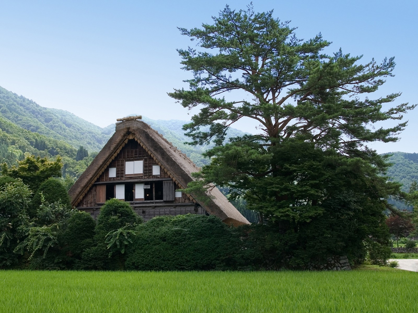 natur haus baum grün berge