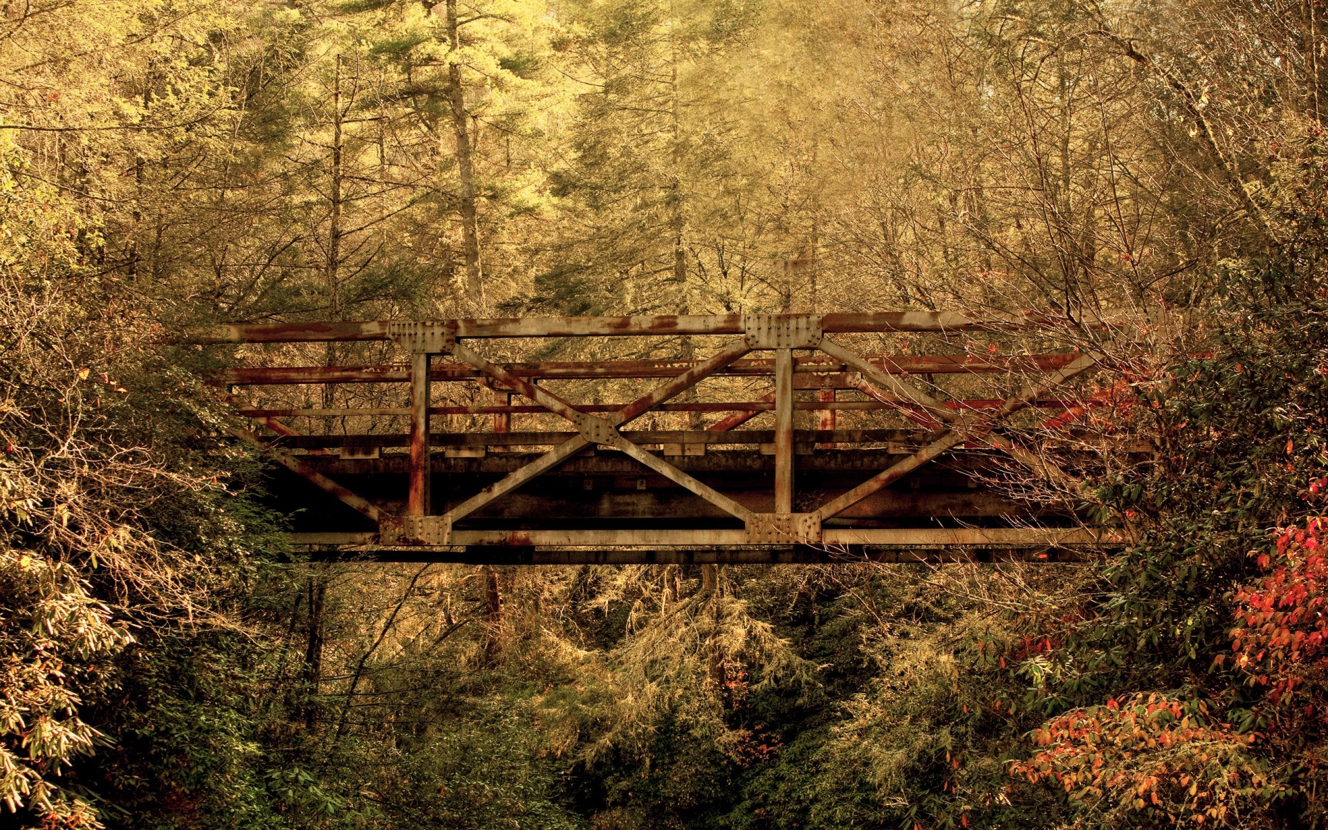 herbst brücke wald blätter south carolina