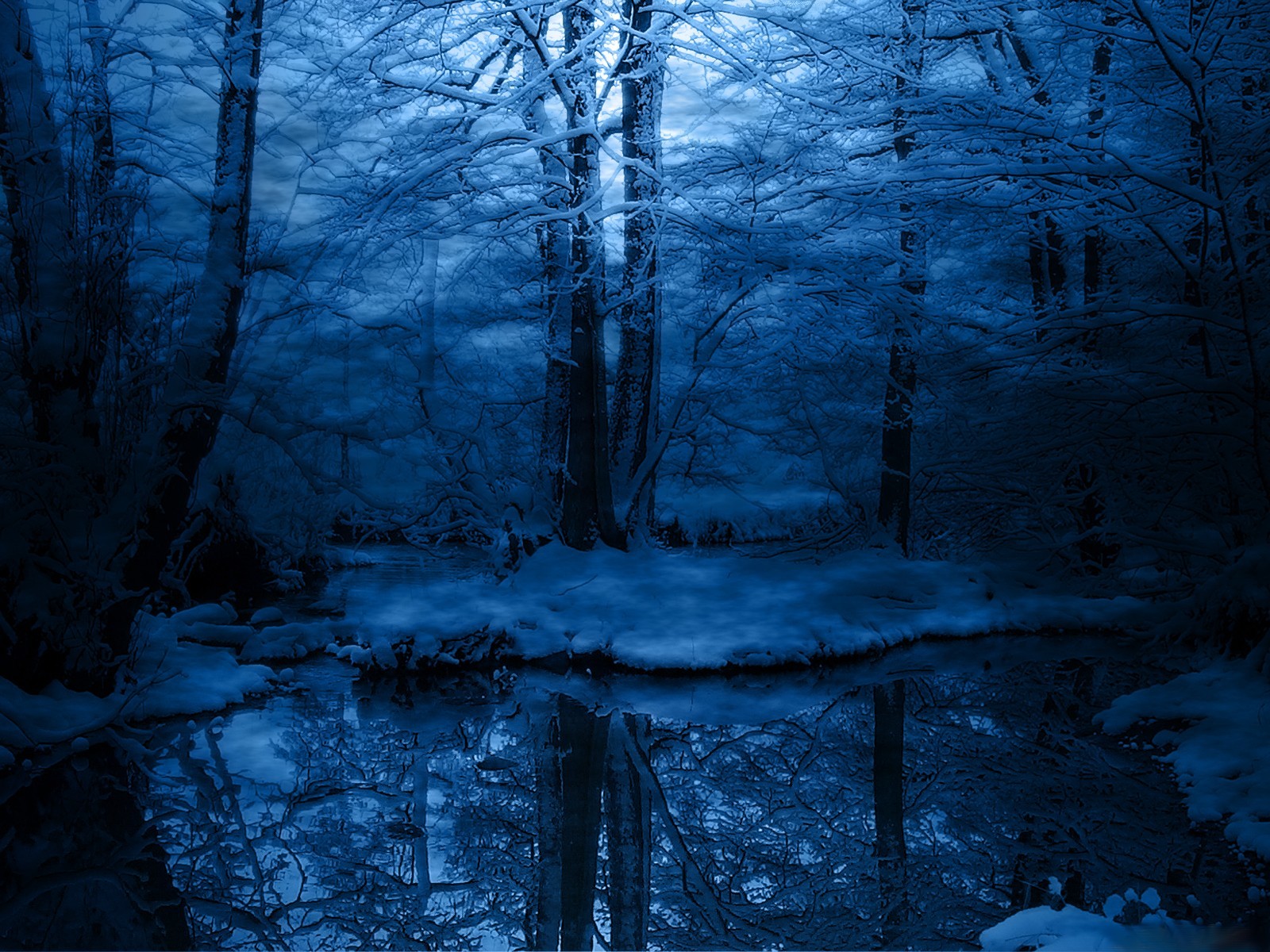 winter bäume schnee blau frost kälte