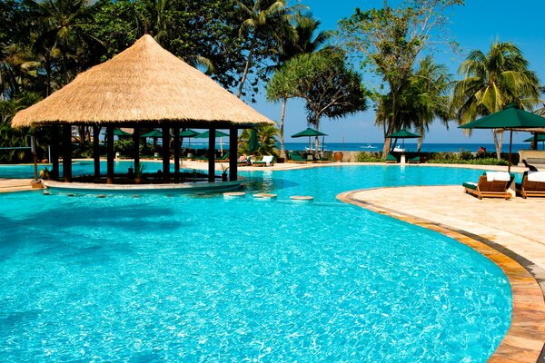 Piscine Azur, gazebo avec toit de chaume, chaises longues et parasols sur le fond, palmiers et la mer à l horizon