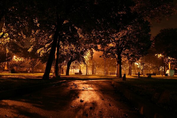Dark park at night by the light of lanterns