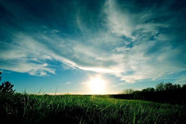 Sonnenlicht beleuchtet grünes Gras