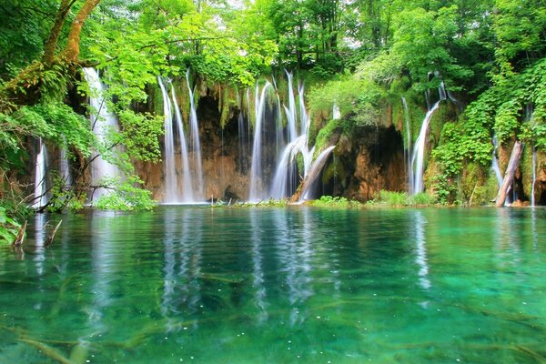 A beautiful waterfall in a bright green forest