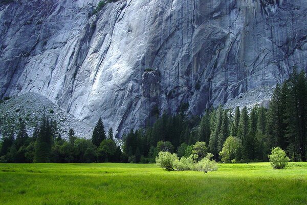 Sheer cliffs stretch into the sky