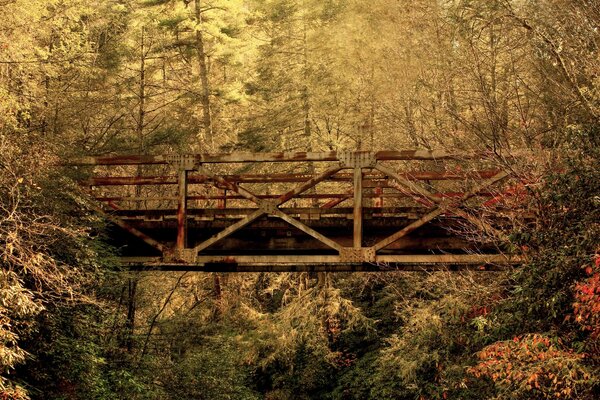 Autumn abandoned bridge leaves are falling