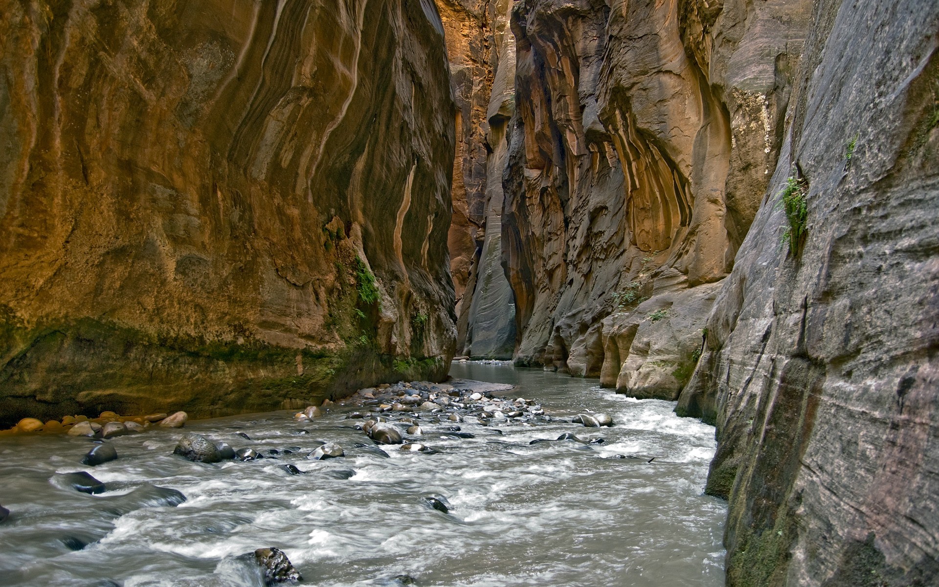 felsen fluss schlucht steine