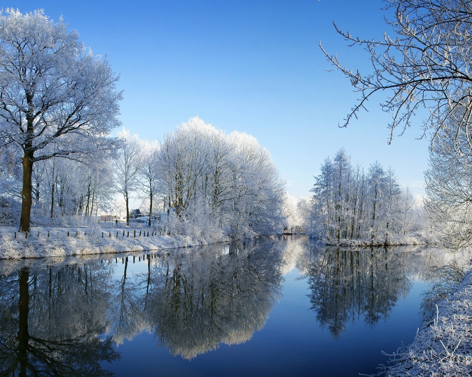 invierno río árboles escarcha nieve