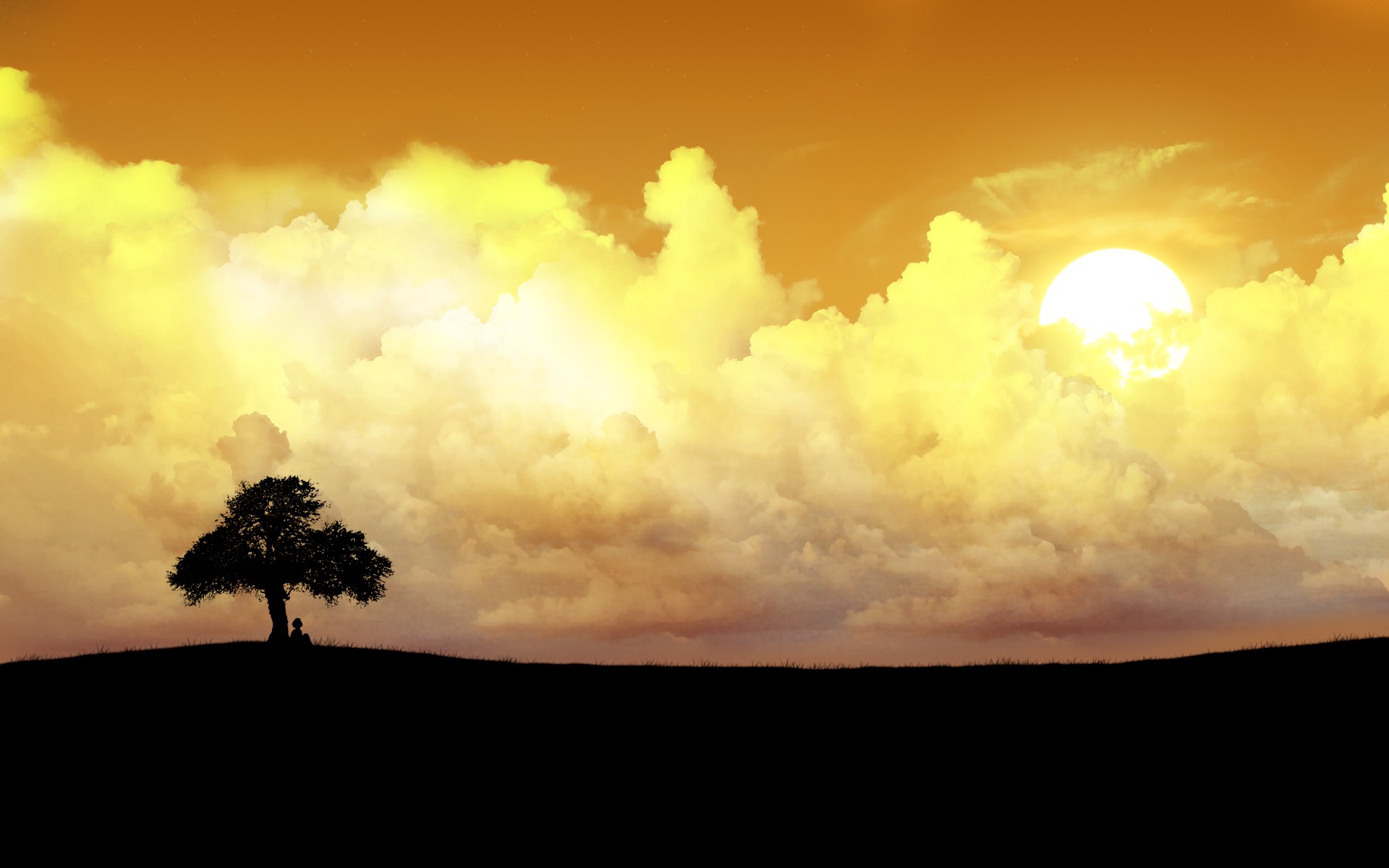 a lone tree clouds sun