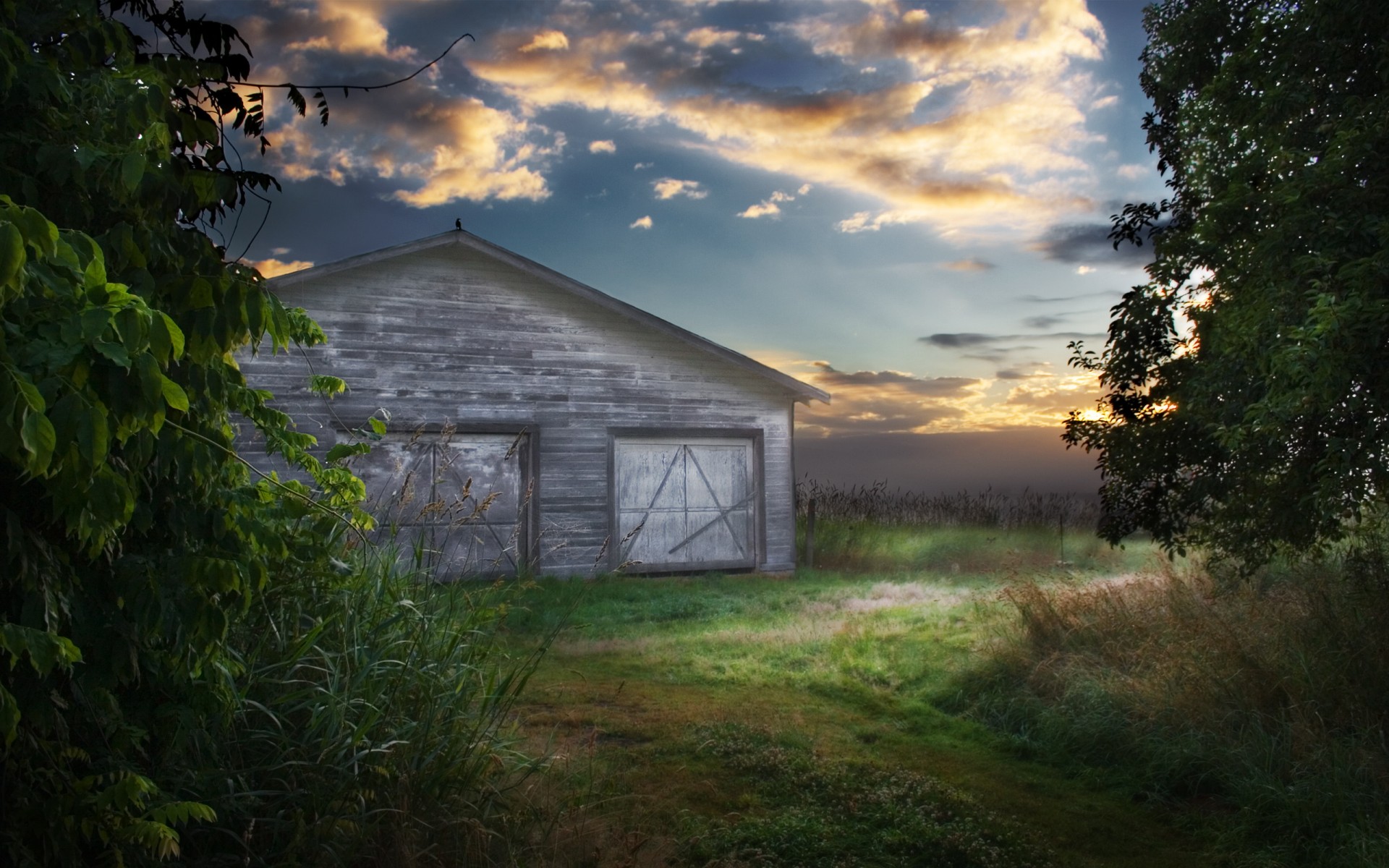 barn the field sky raven