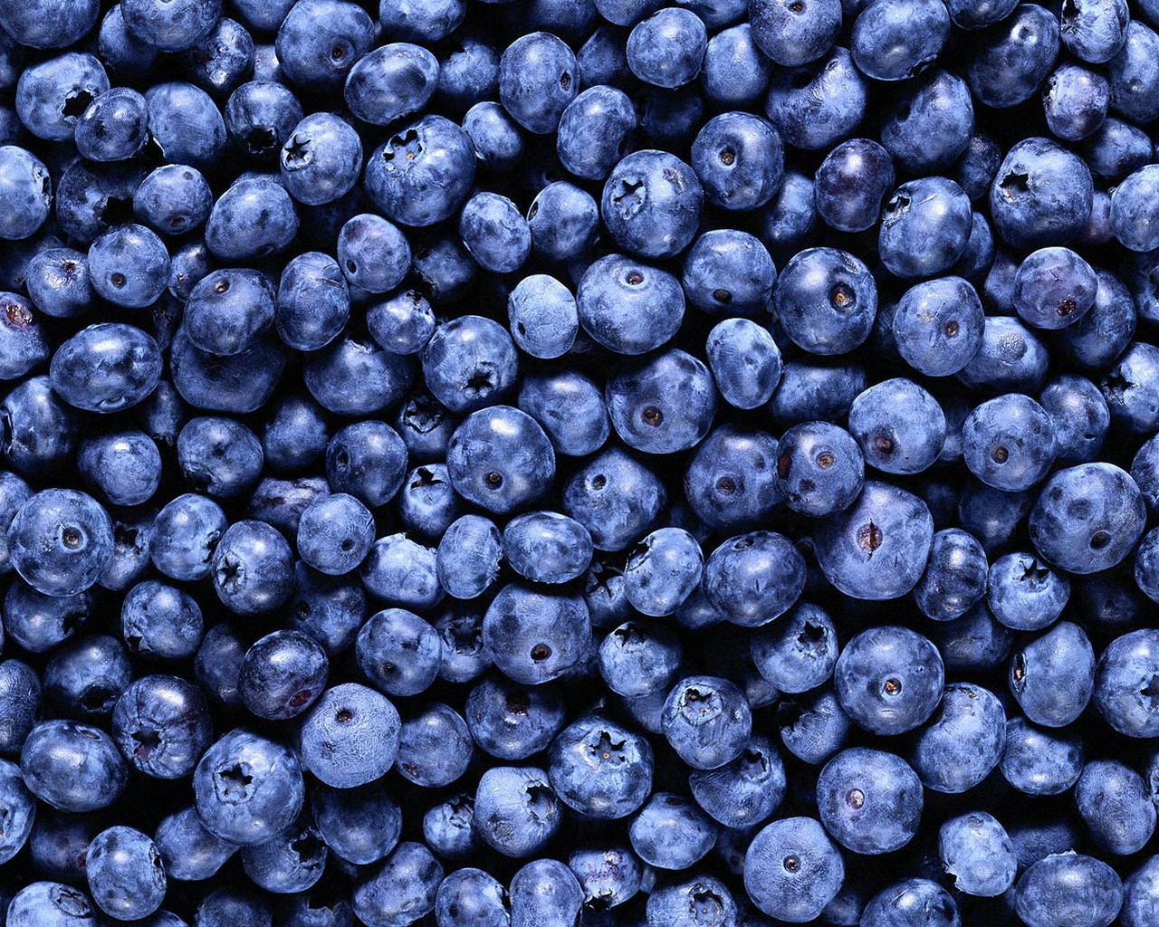 berry blueberries background food vitamin