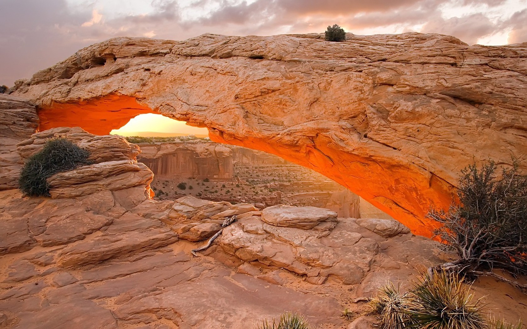 mesa arco arco canyon