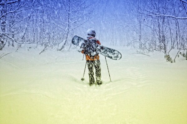 Inverno nevoso. Snowboard. Foresta invernale