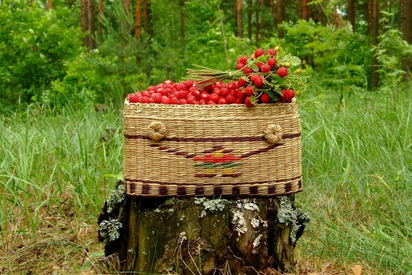 On the stump is a large basket full of strawberries