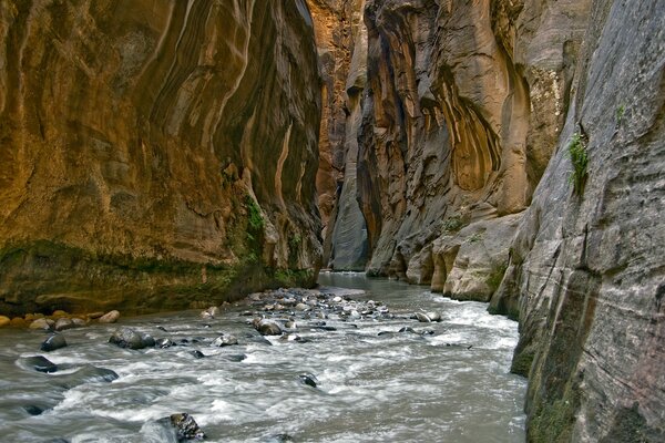 Der Bergfluss fließt in die Schlucht und gewinnt seine Stärke in den Bergen