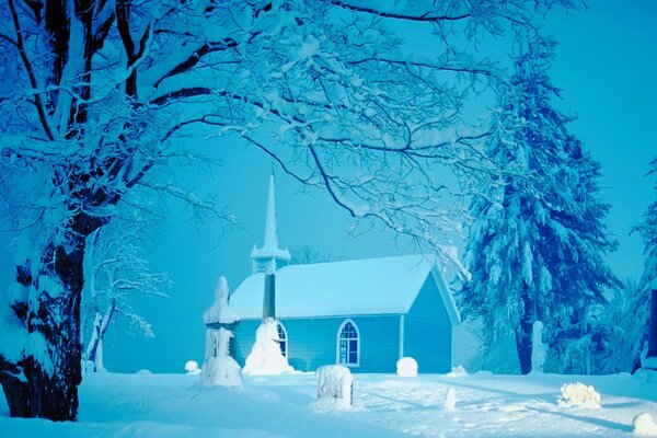 Choinki i Kościół na tle śniegu