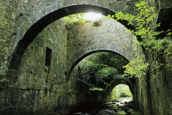 Drainage channel. Old buildings. Moss