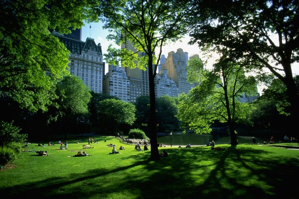 Blick auf New York aus dem Park