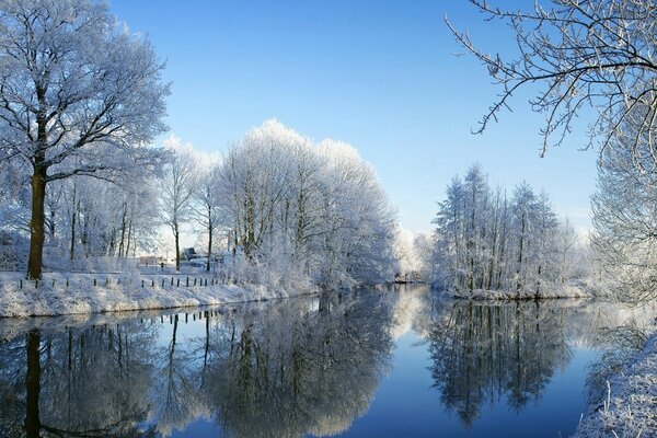 Reflexion von schneebedeckten Bäumen im Fluss