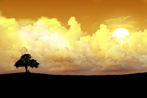 Albero all orizzonte sotto le nuvole al tramonto