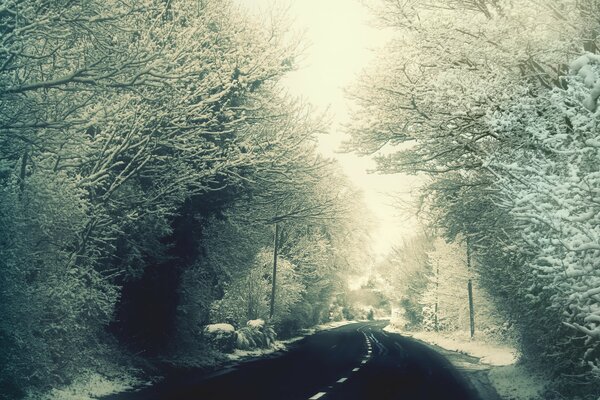 La neige n est pas au bord de la route