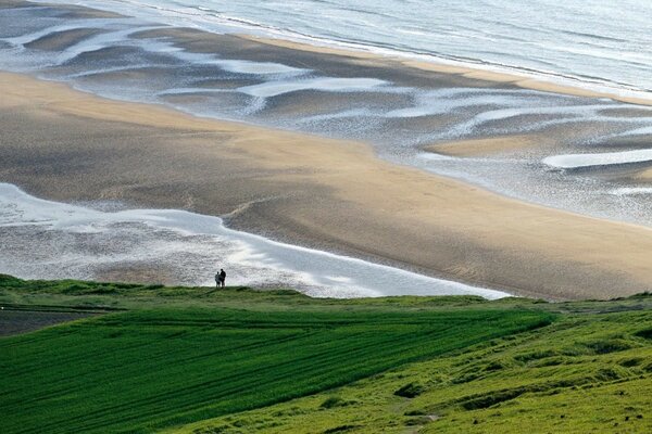 Un campo verde infinito cerca de la orilla del mar