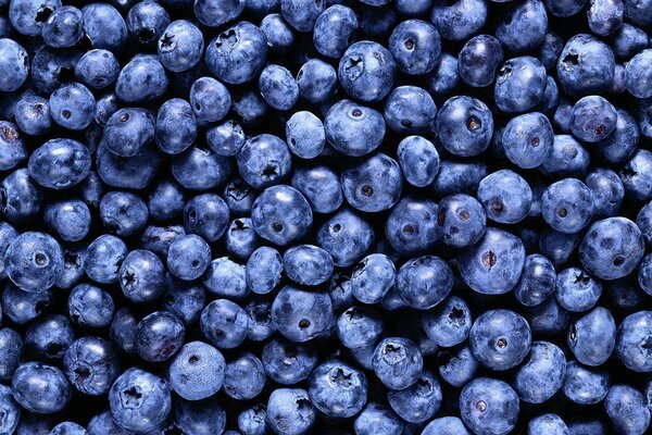 Everyone loves blueberries very much they are blacker than the night