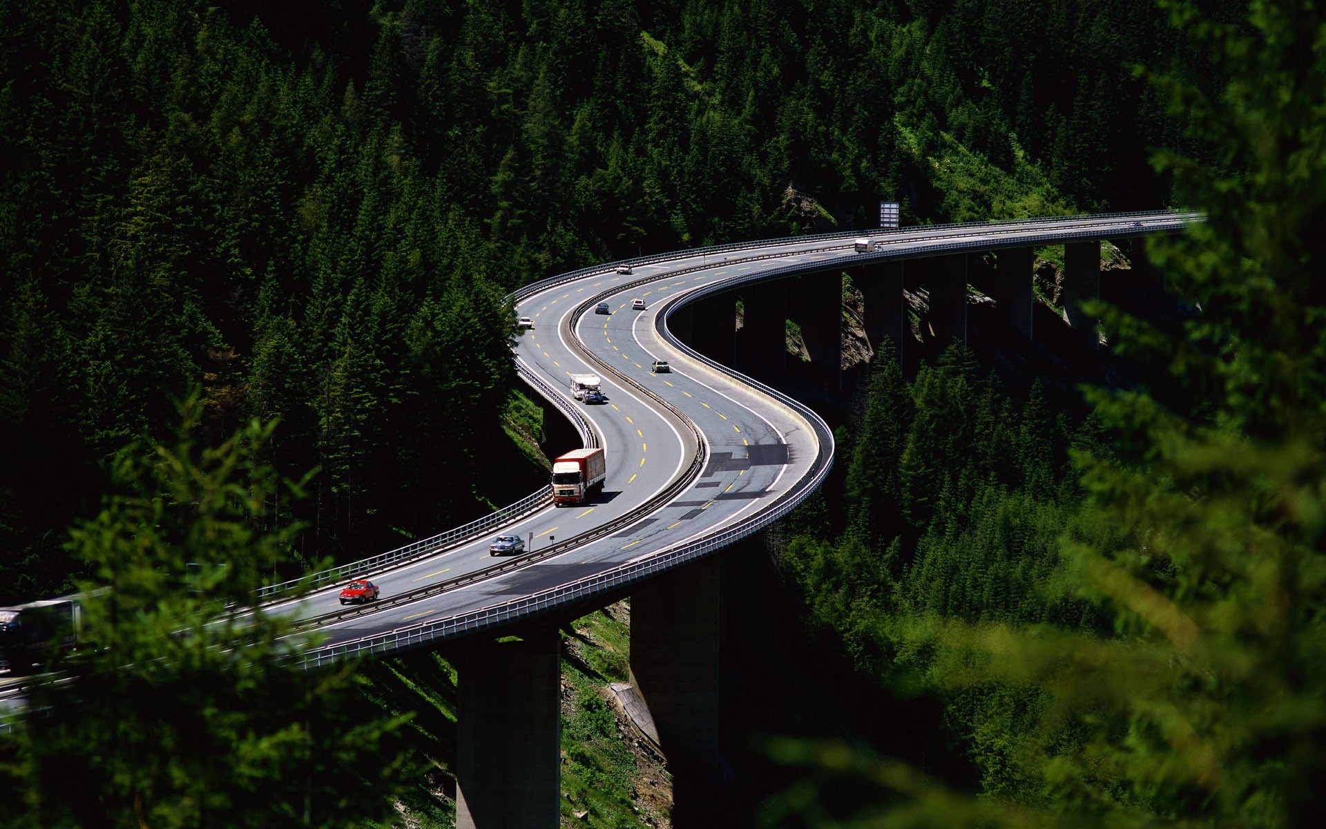 straße wald höhe