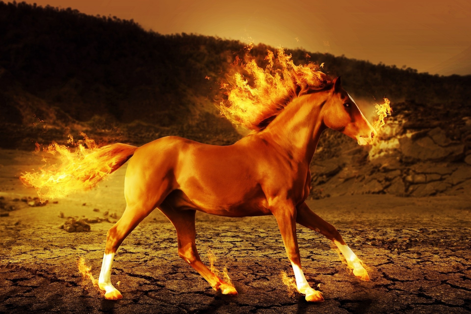 fuego arte caballo 3d