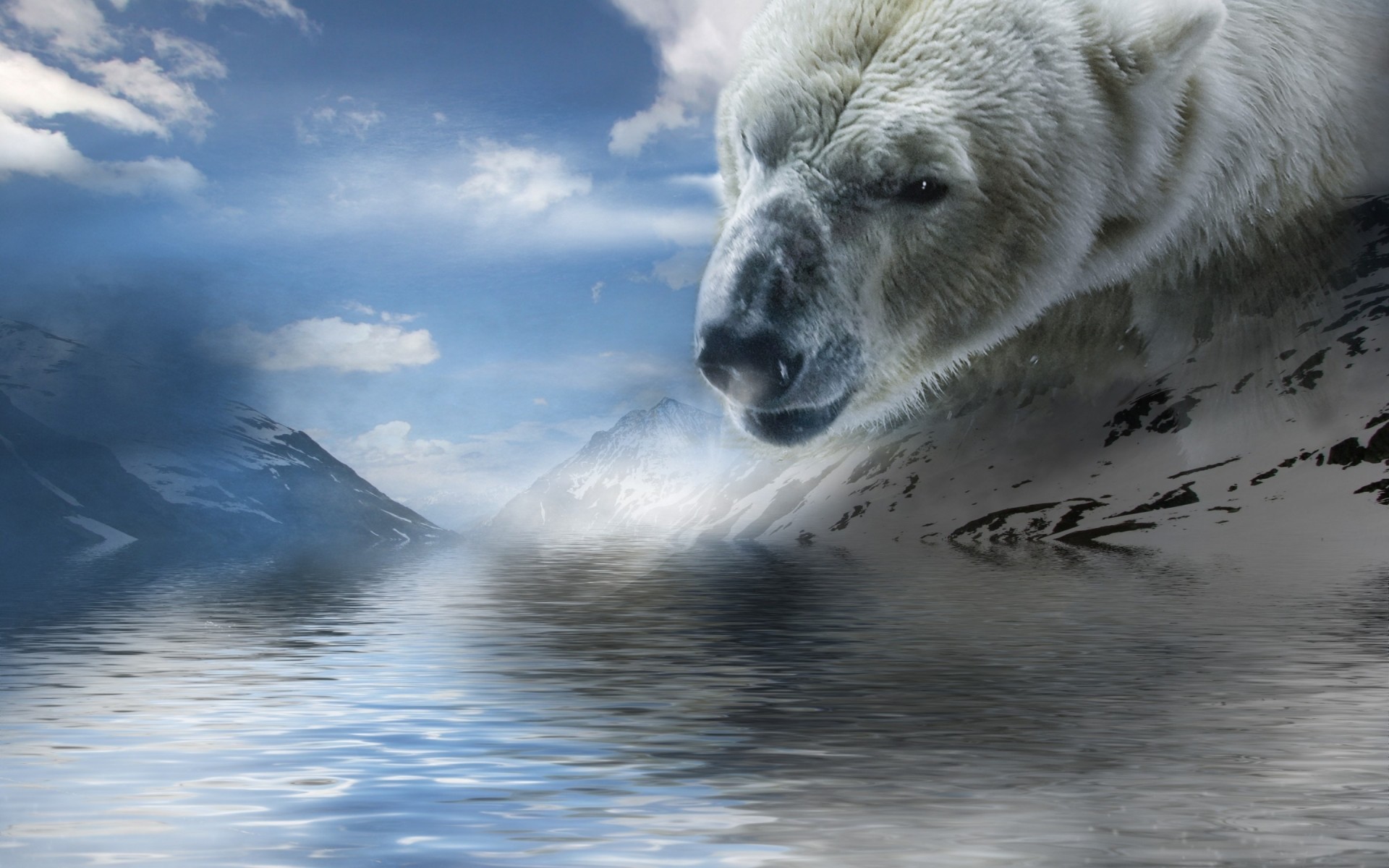 arte oso polar montañas agua