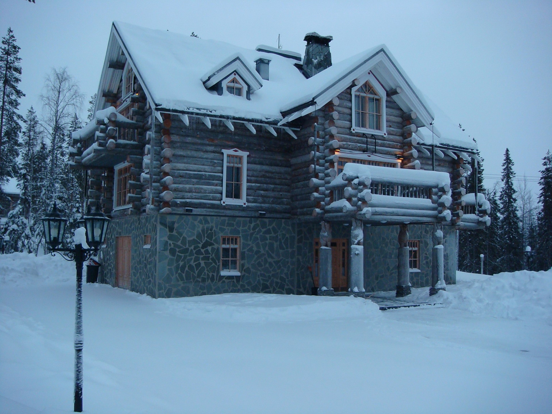 hiver aube forêt