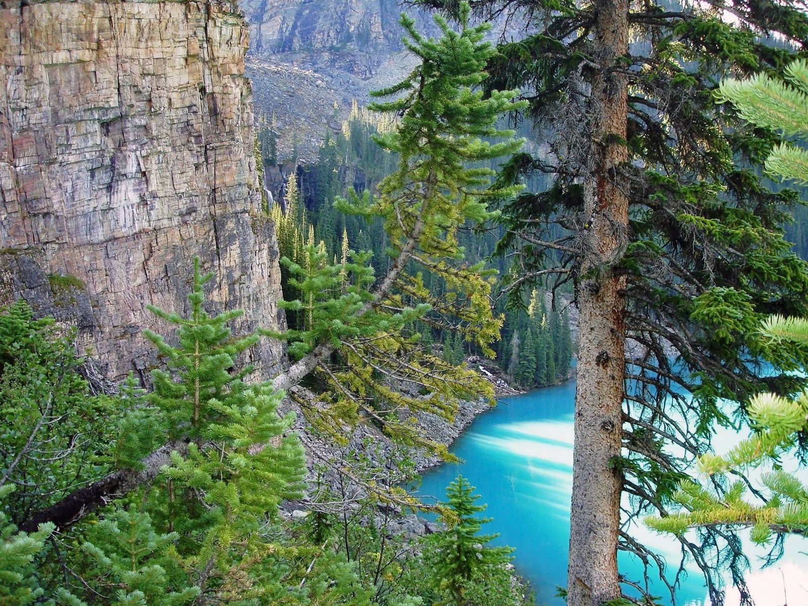 montagne lago alberi canada