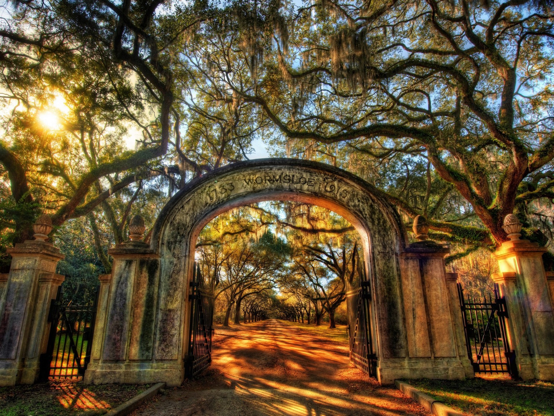 wormsloe parque árboles sol callejón