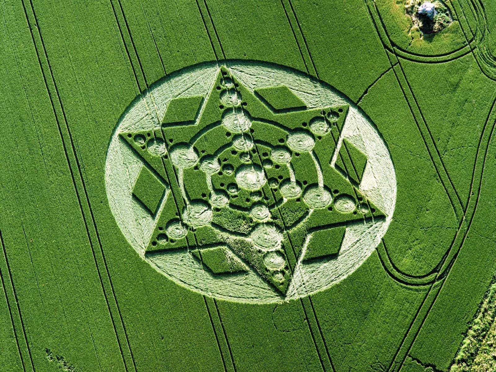 ovni champ crop circles nature