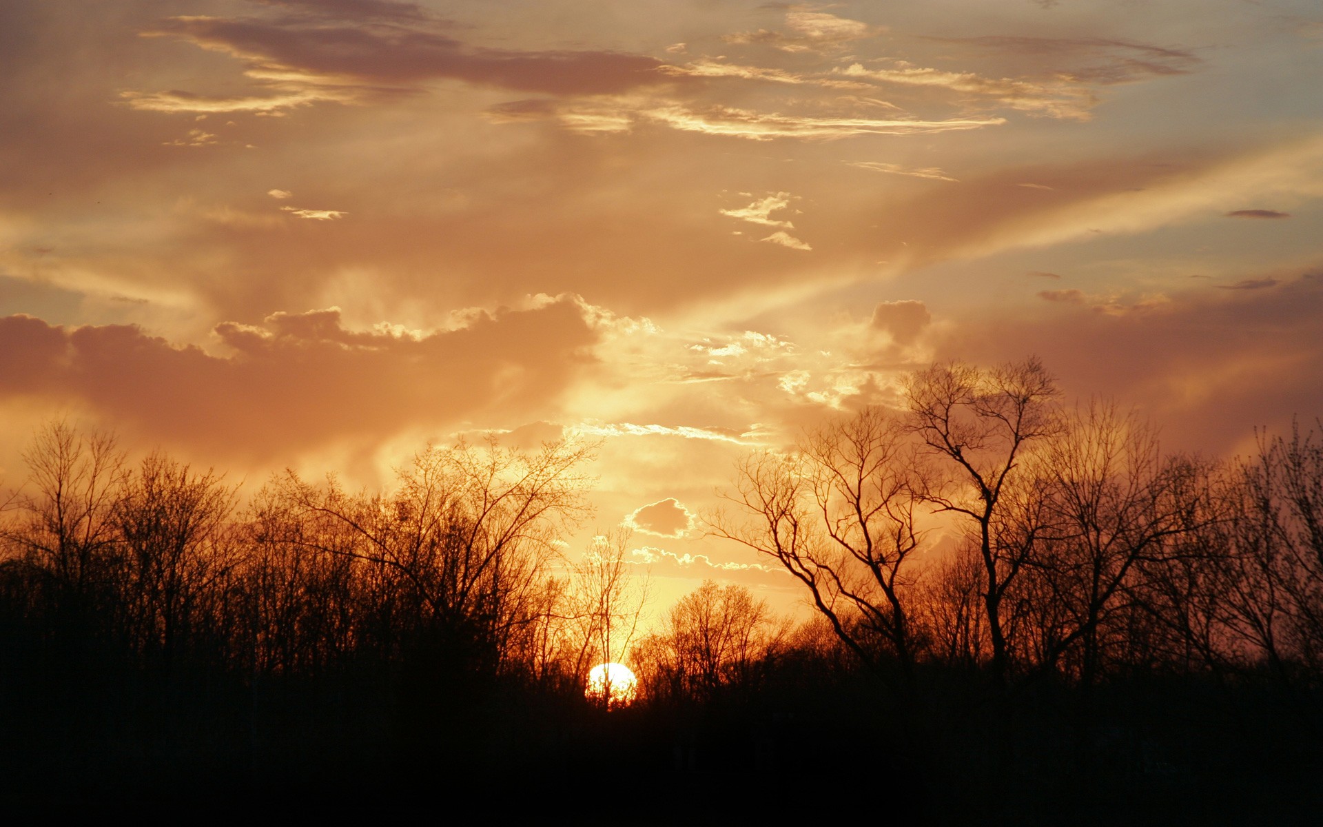 soleil coucher de soleil arbres nuages