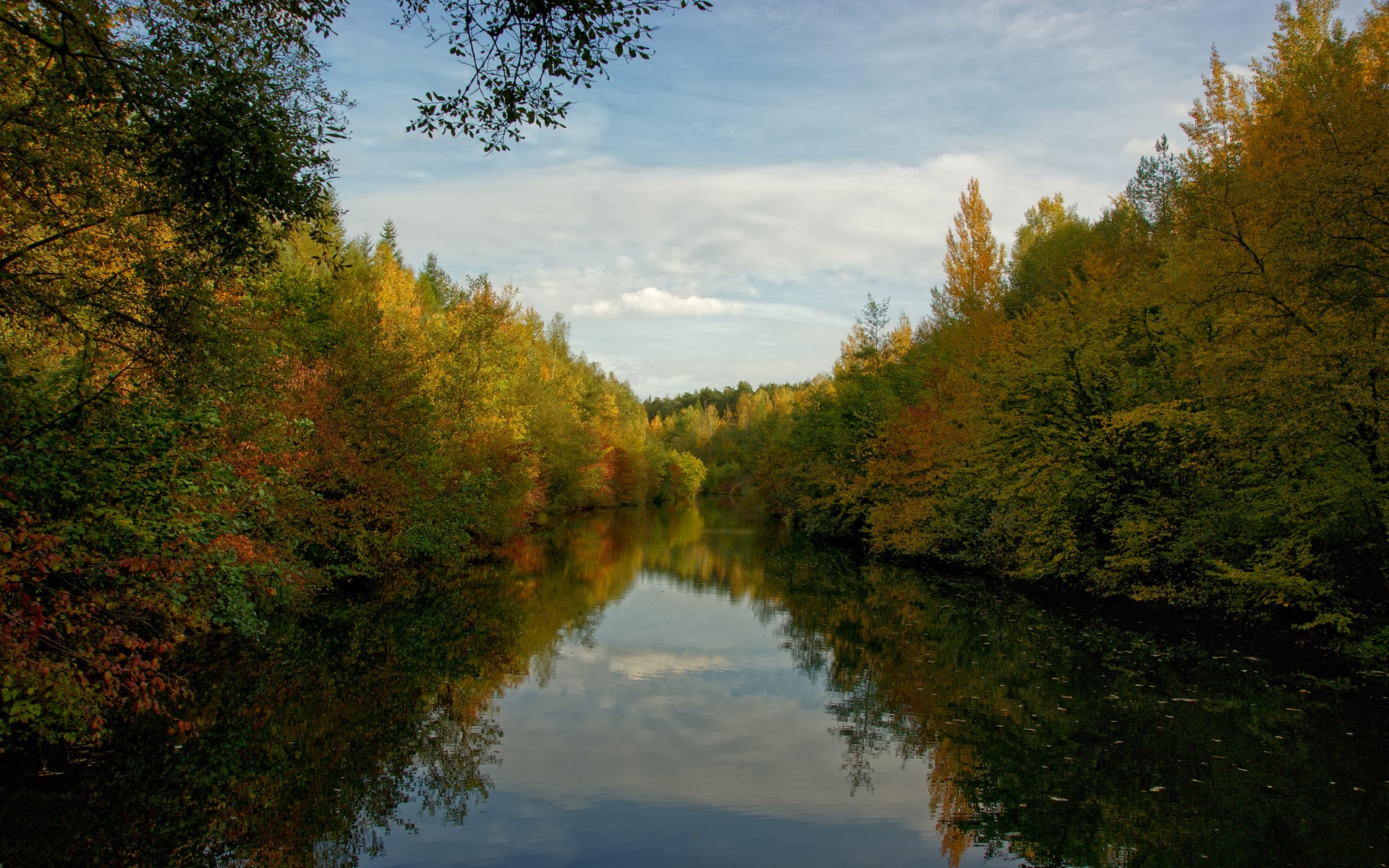 foresta acqua alberi nuvole