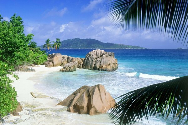 Seychelles avec du sable blanc