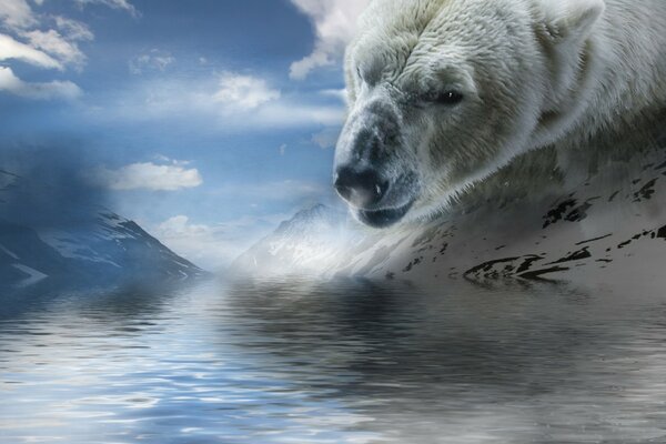 Art with a polar bear by the water