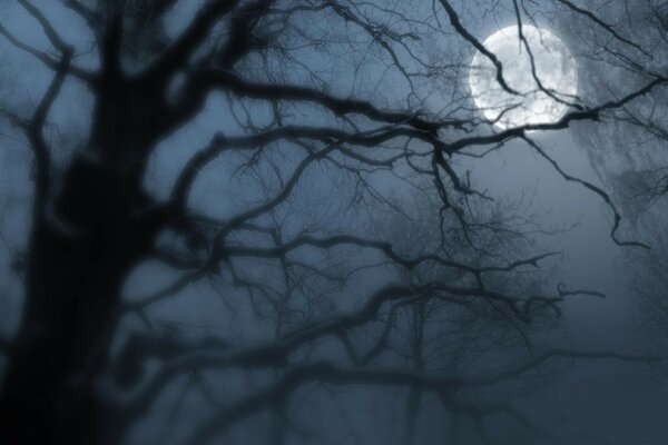 Photo de la lune dans la nuit dans le brouillard