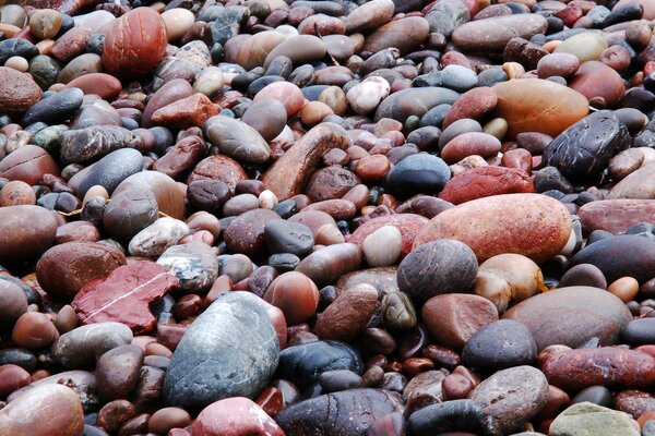 Nasse farbige Kieselsteine am Strand