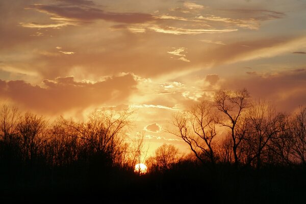 The sky illuminated by the sunset with clouds