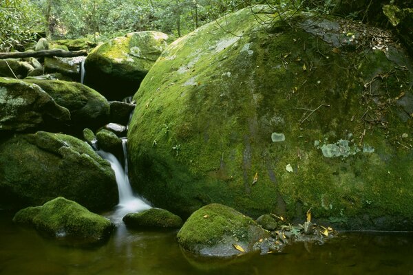 Ein großer moosbedeckter Felsbrocken neben dem Wasserfall