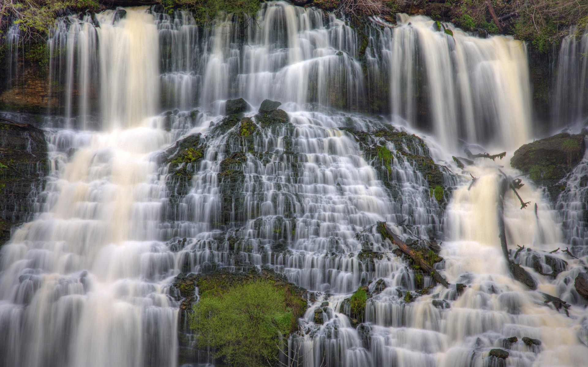 forest waterfall nature