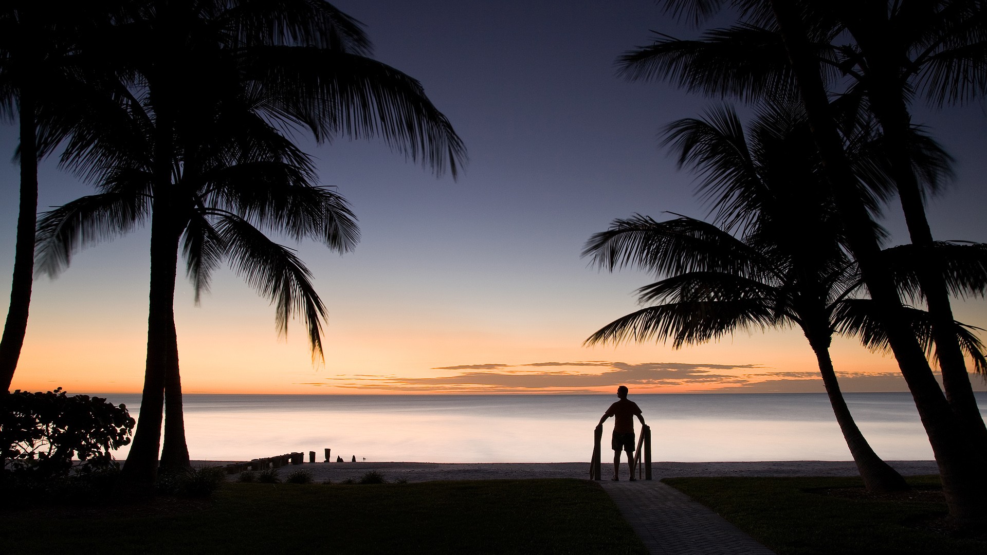 palmeras costa hombre puesta de sol lugar paradisíaco