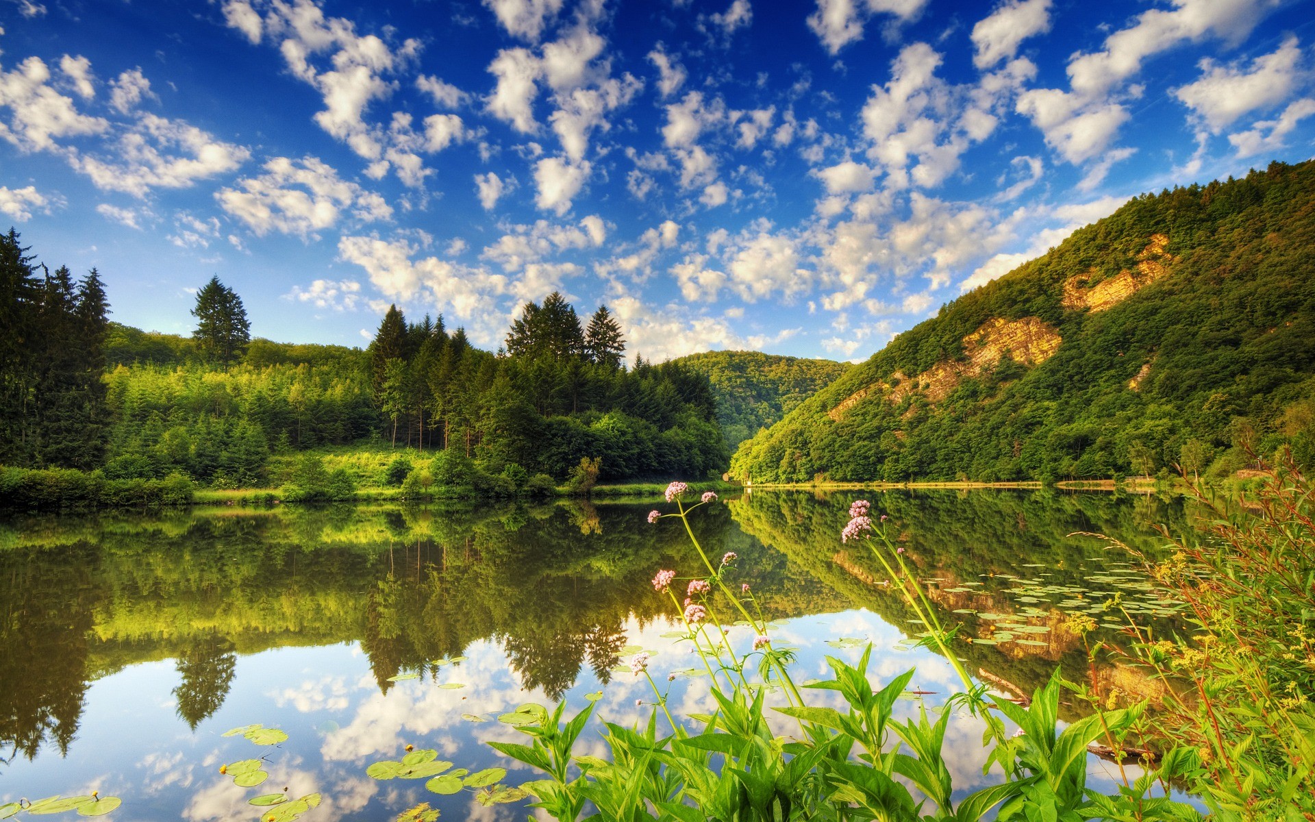 lago árboles nubes