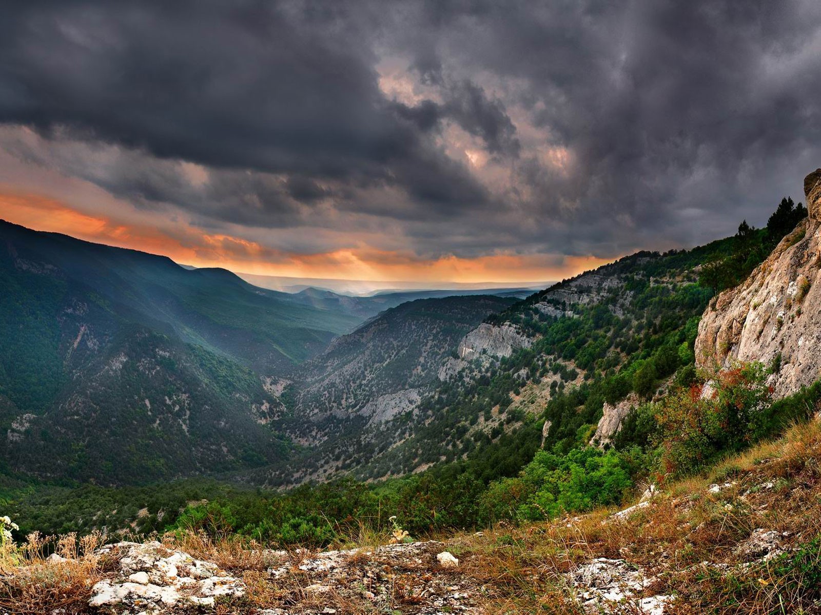 crimea montagne alberi piombo cielo