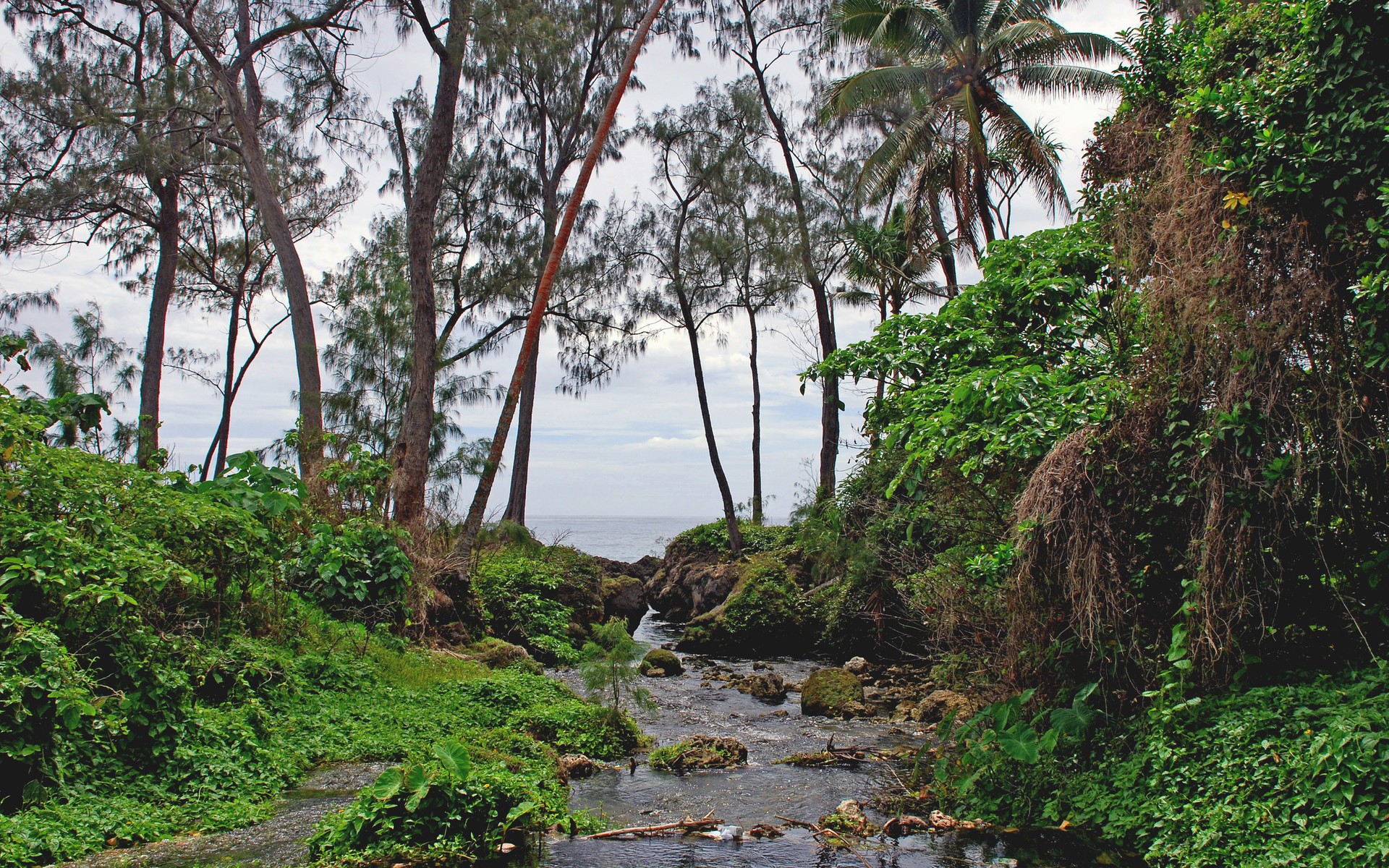 vanuatu isla de efat arroyo