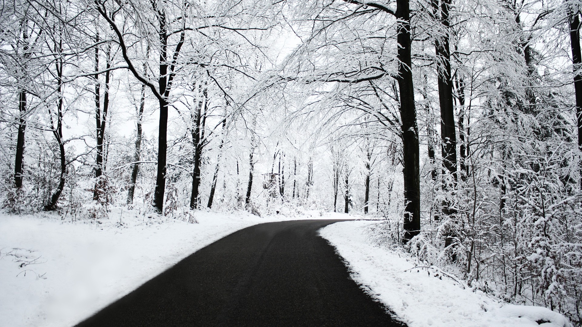 route hiver neige arbres